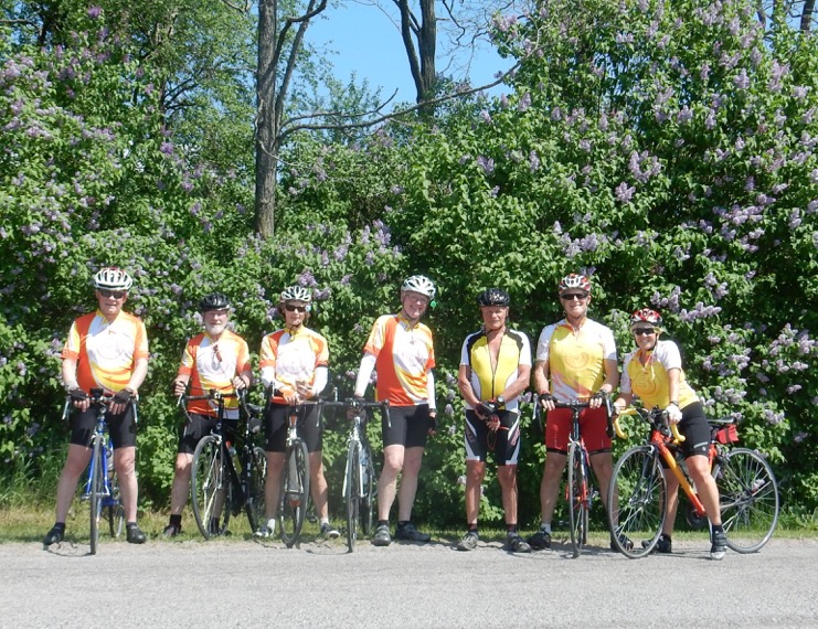 Row of cyclists with blossom bushes in the background